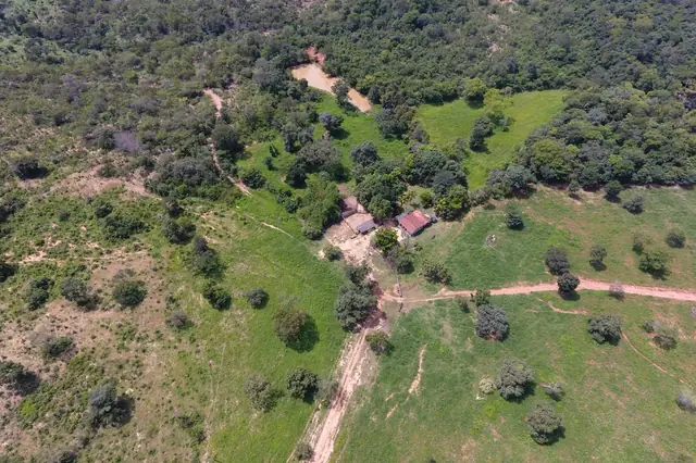 DAI – Declaração Ambiental do Imóvel em Goiás: o que é, quem precisa e como fazer no Sistema IPÊ